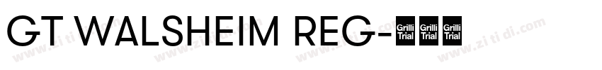 GT WALSHEIM REG字体转换 GT WALSHEIM REG字体转换